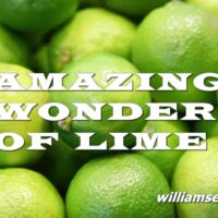 MEDICINAL PROPERTIES OF LIME