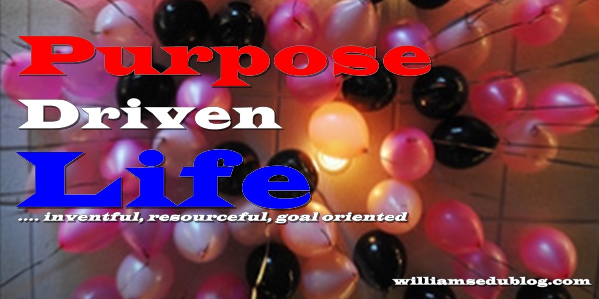 purpose-driven life