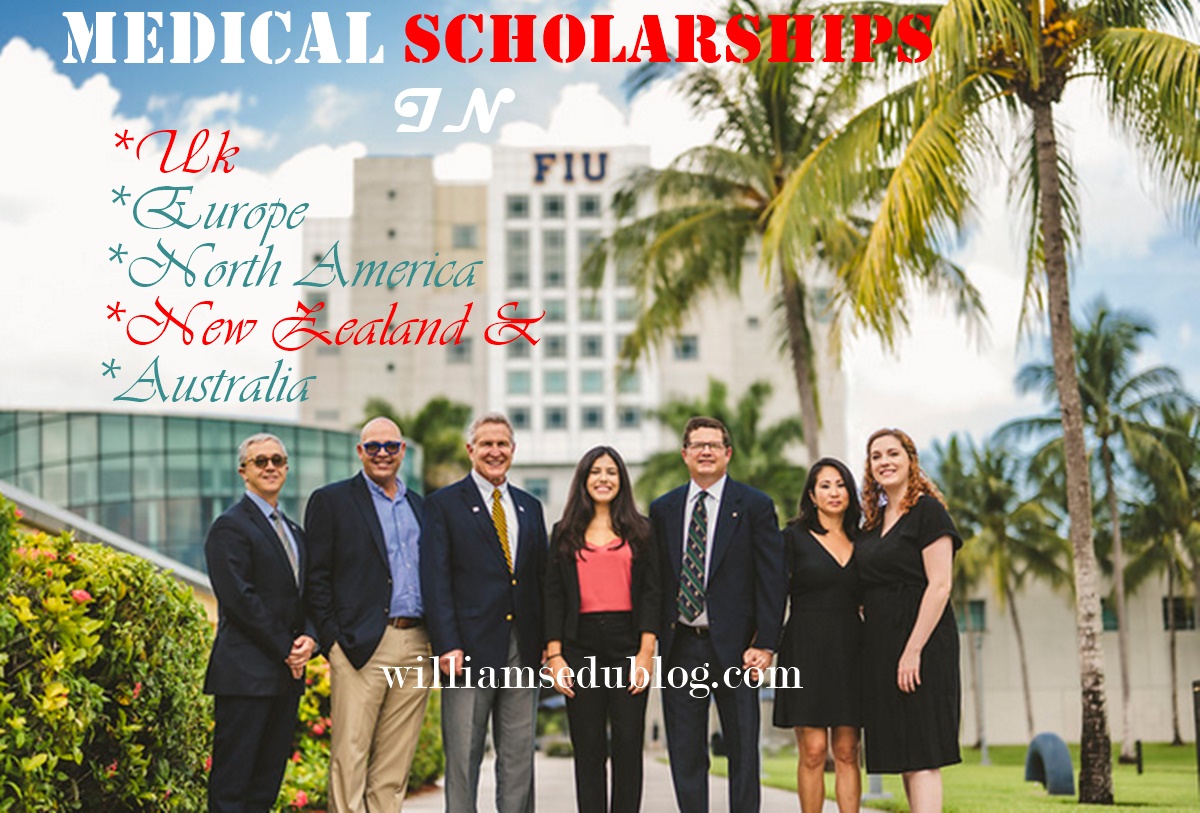 medical scholarship