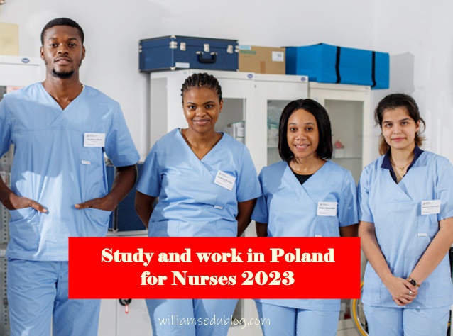 Study and work in Poland for Nurses