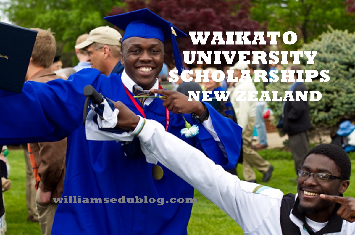 waikato university scholarships